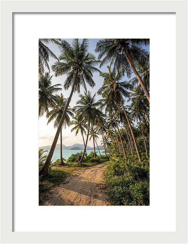 Tropical Oasis Tranquility