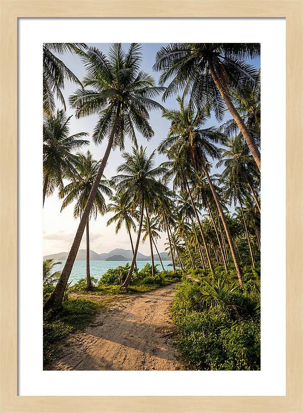 Tropical Oasis Tranquility