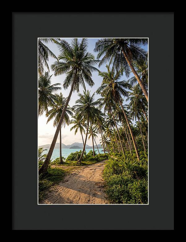 Tropical Oasis Tranquility