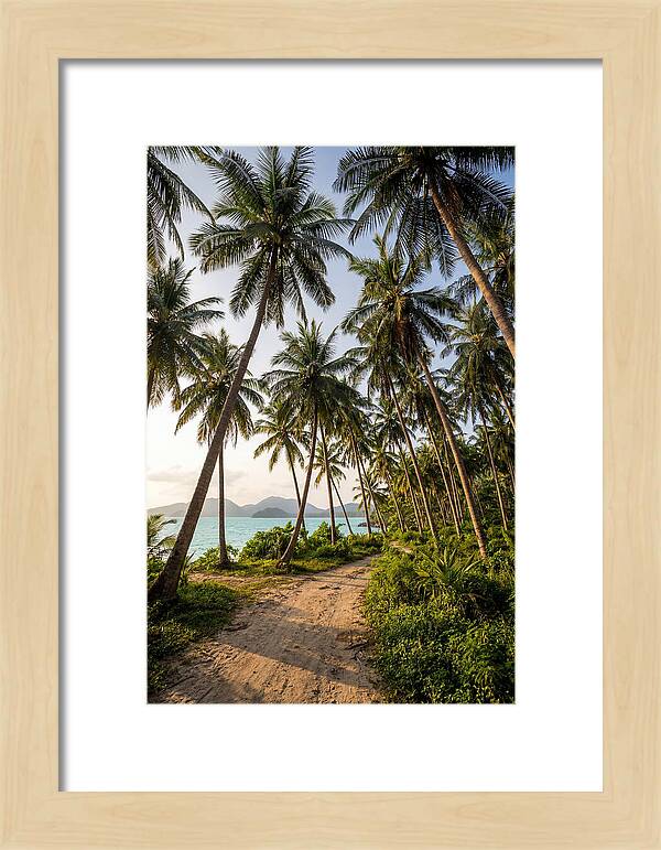 Tropical Oasis Tranquility