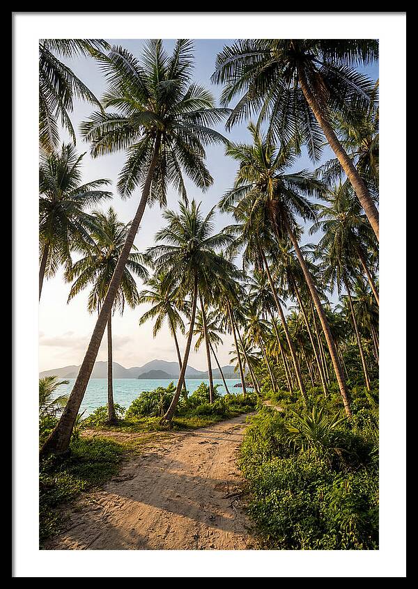 Tropical Oasis Tranquility