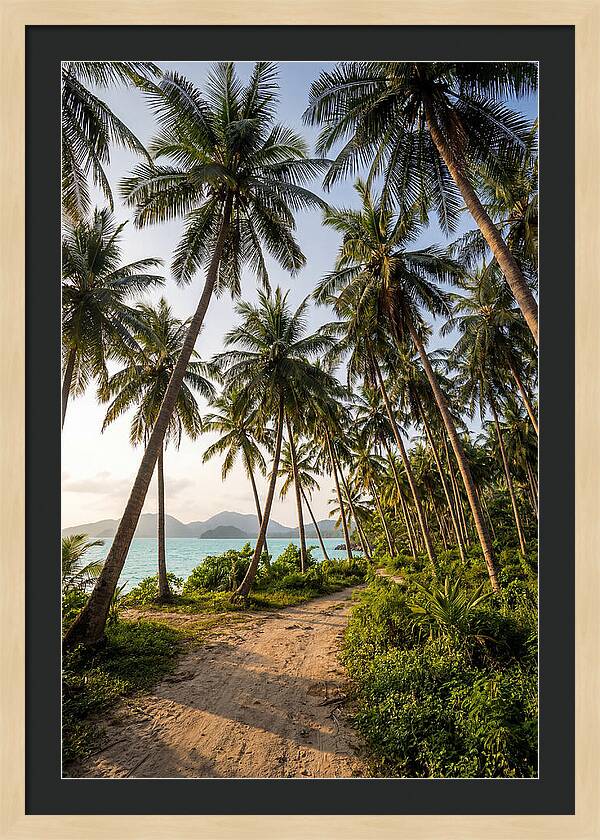 Tropical Oasis Tranquility