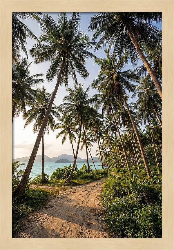 Tropical Oasis Tranquility