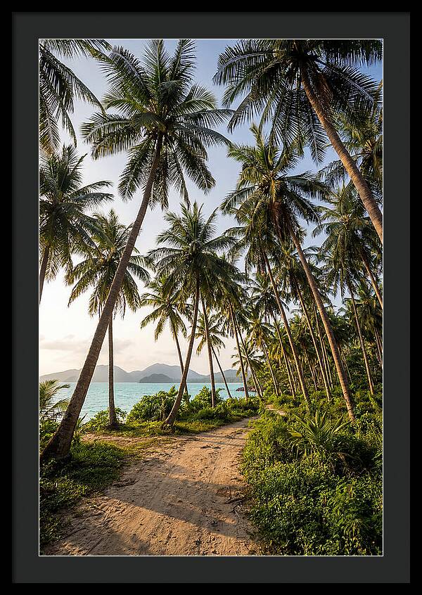 Tropical Oasis Tranquility