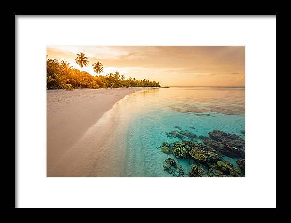 Tropical Paradise At Dusk
