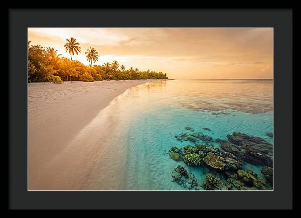Tropical Paradise At Dusk