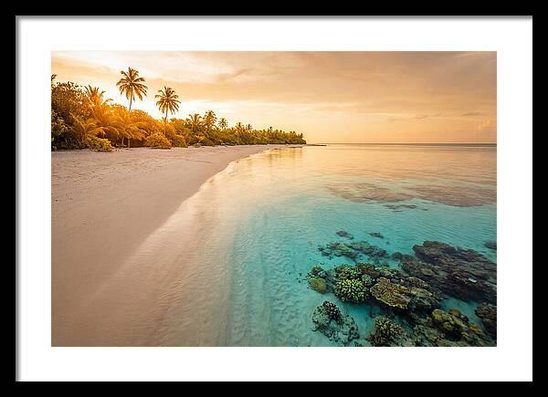 Tropical Paradise At Dusk