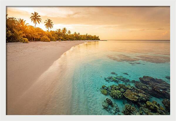 Tropical Paradise At Dusk