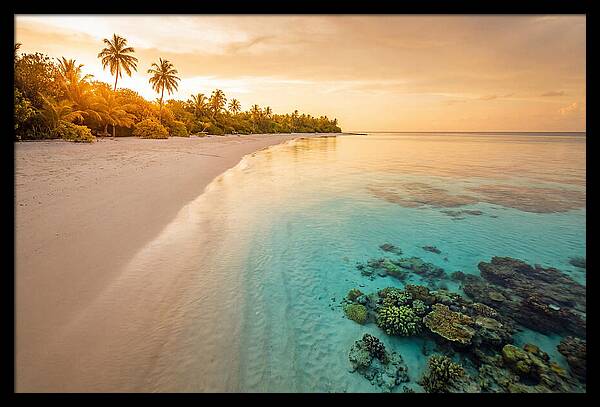Tropical Paradise At Dusk