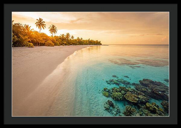 Tropical Paradise At Dusk