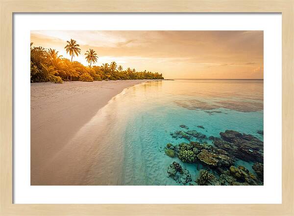 Tropical Paradise At Dusk