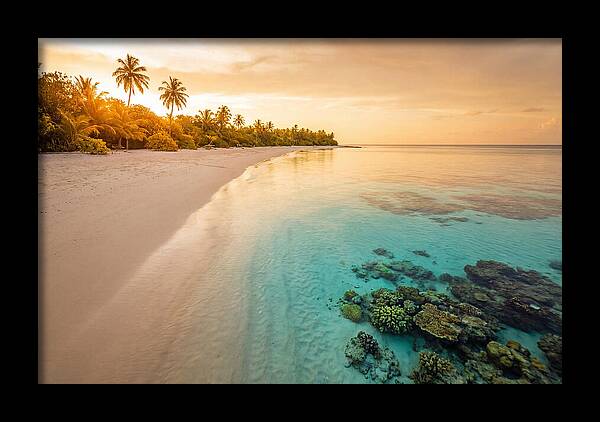 Tropical Paradise At Dusk