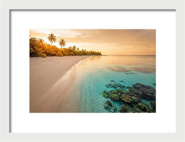Tropical Paradise At Dusk