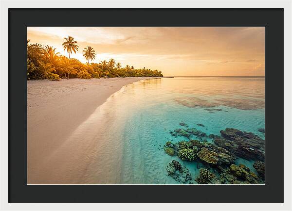 Tropical Paradise At Dusk