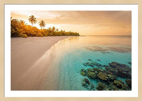 Tropical Paradise At Dusk