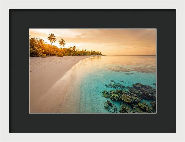 Tropical Paradise At Dusk