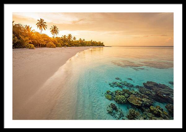 Tropical Paradise At Dusk