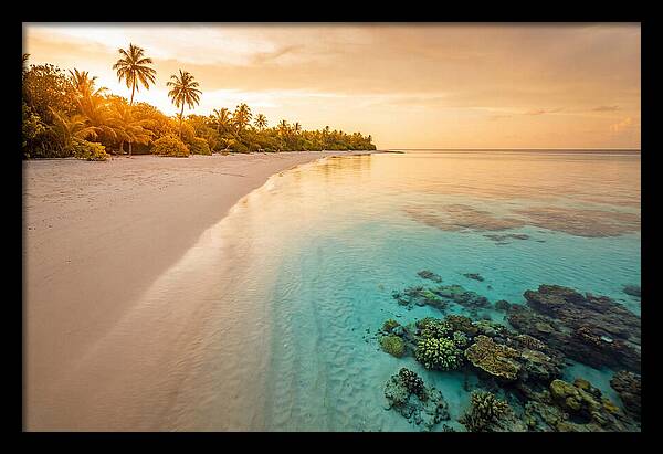 Tropical Paradise At Dusk