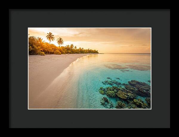 Tropical Paradise At Dusk
