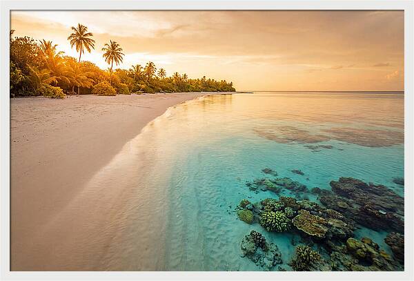 Tropical Paradise At Dusk