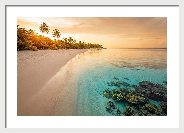 Tropical Paradise At Dusk
