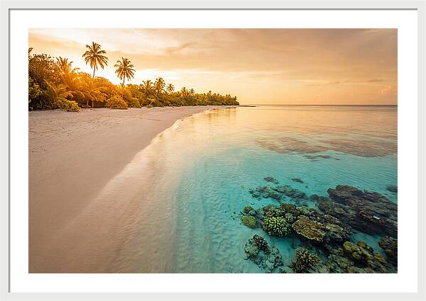 Tropical Paradise At Dusk