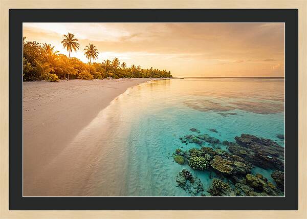 Tropical Paradise At Dusk