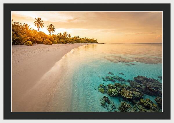 Tropical Paradise At Dusk