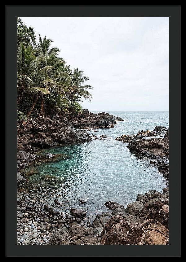 Tropical Paradise Escape