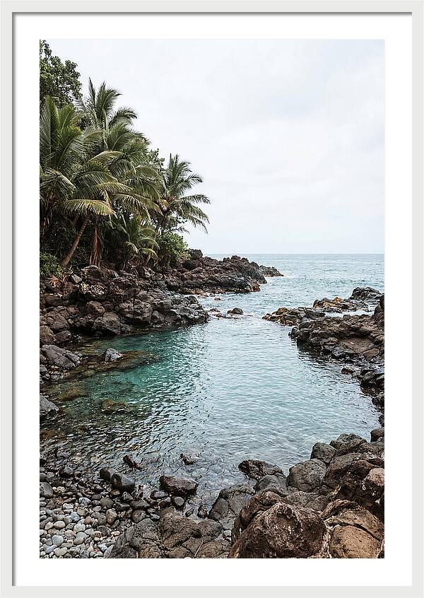 Tropical Paradise Escape