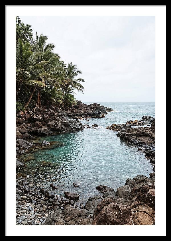 Tropical Paradise Escape