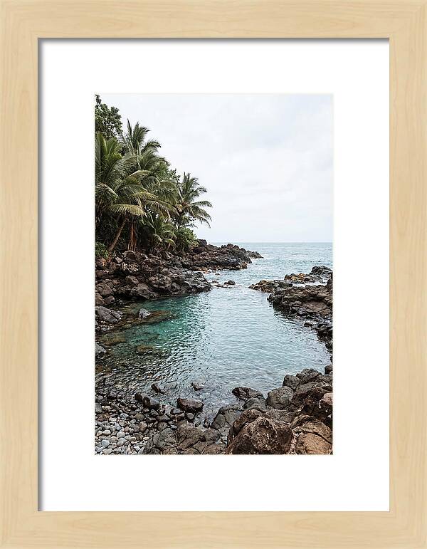 Tropical Paradise Escape