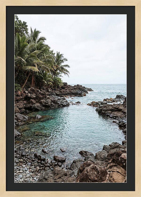 Tropical Paradise Escape
