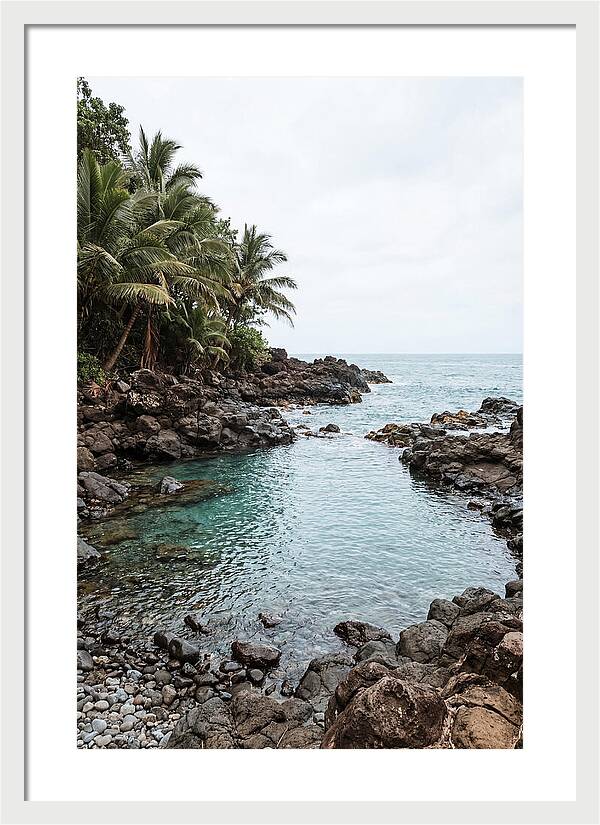 Tropical Paradise Escape
