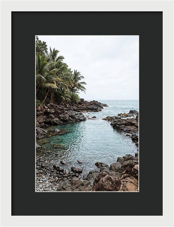Tropical Paradise Escape