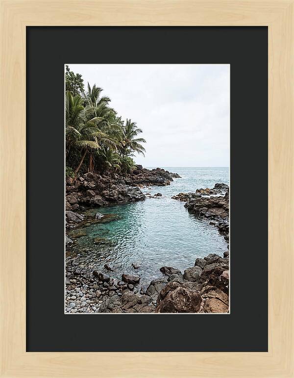 Tropical Paradise Escape