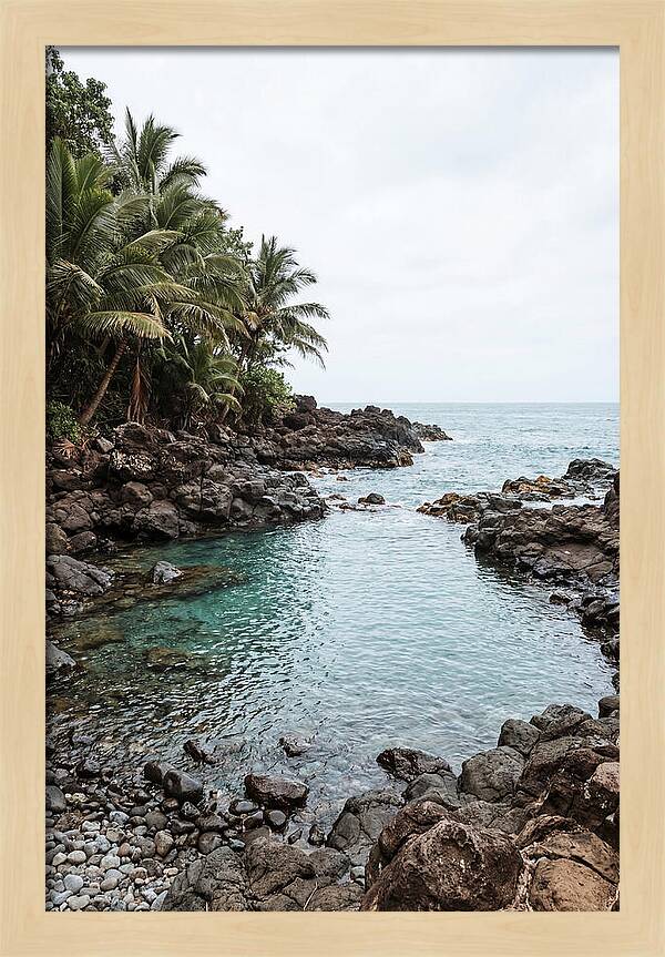 Tropical Paradise Escape