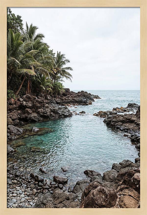 Tropical Paradise Escape