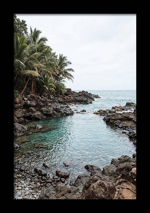 Tropical Paradise Escape