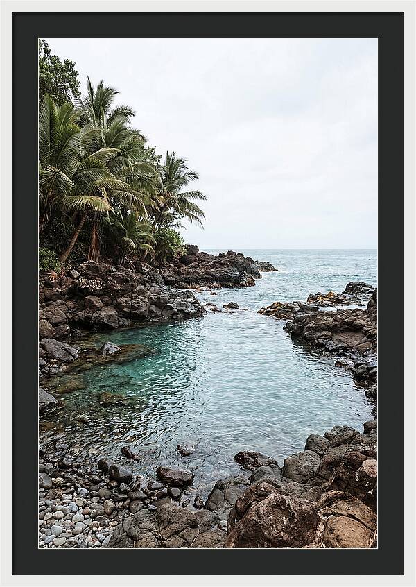 Tropical Paradise Escape