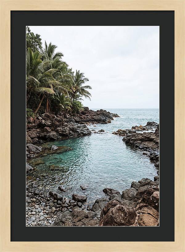 Tropical Paradise Escape