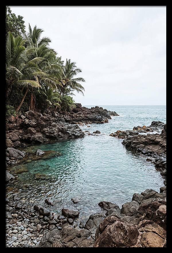 Tropical Paradise Escape