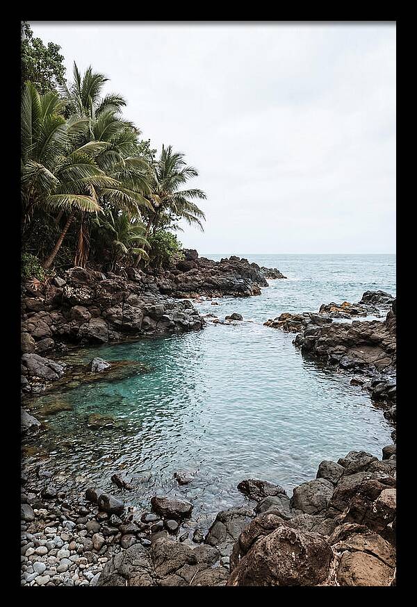 Tropical Paradise Escape