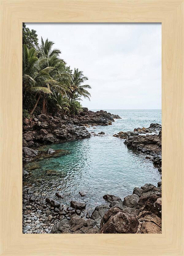 Tropical Paradise Escape