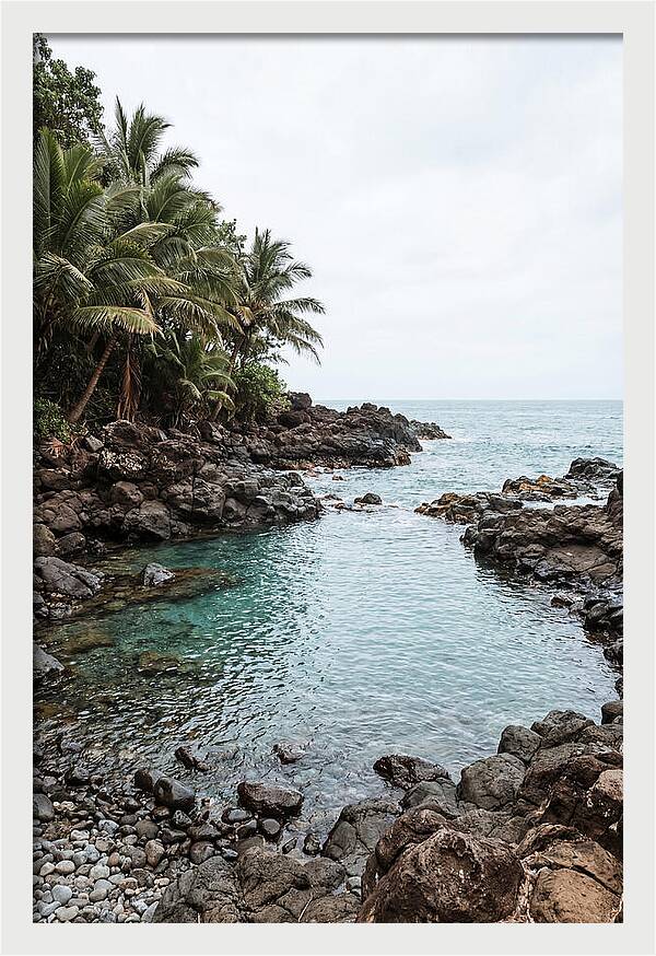 Tropical Paradise Escape