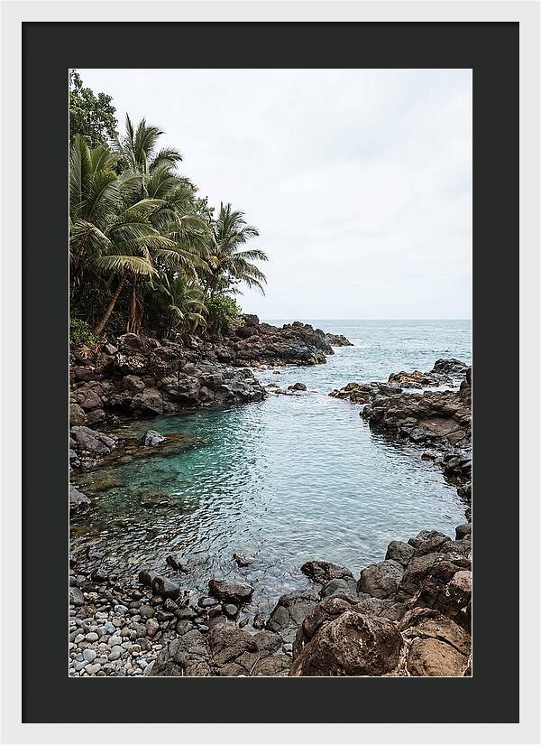 Tropical Paradise Escape