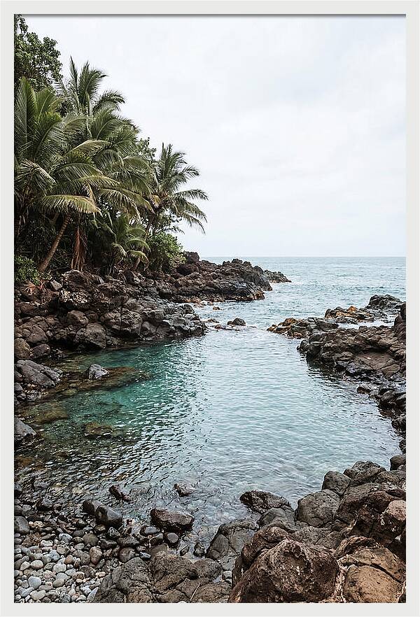 Tropical Paradise Escape