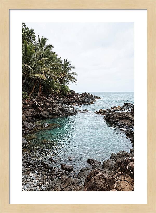 Tropical Paradise Escape