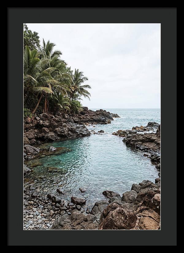 Tropical Paradise Escape
