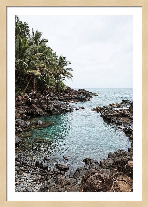 Tropical Paradise Escape